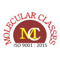 MOLECULAR CLASSES
